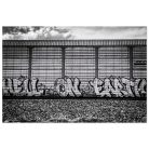 bcb140ce5f0dc38eba6a478b6d7deaf2.jpg