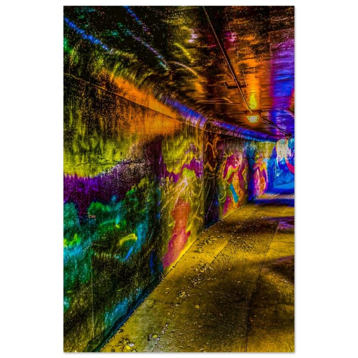 d0d6ad9188c008260ac2859d0c97848b.jpg