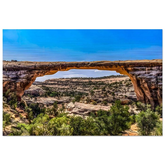 0f10b6118f9aae0e2a89622412f46d12.jpg